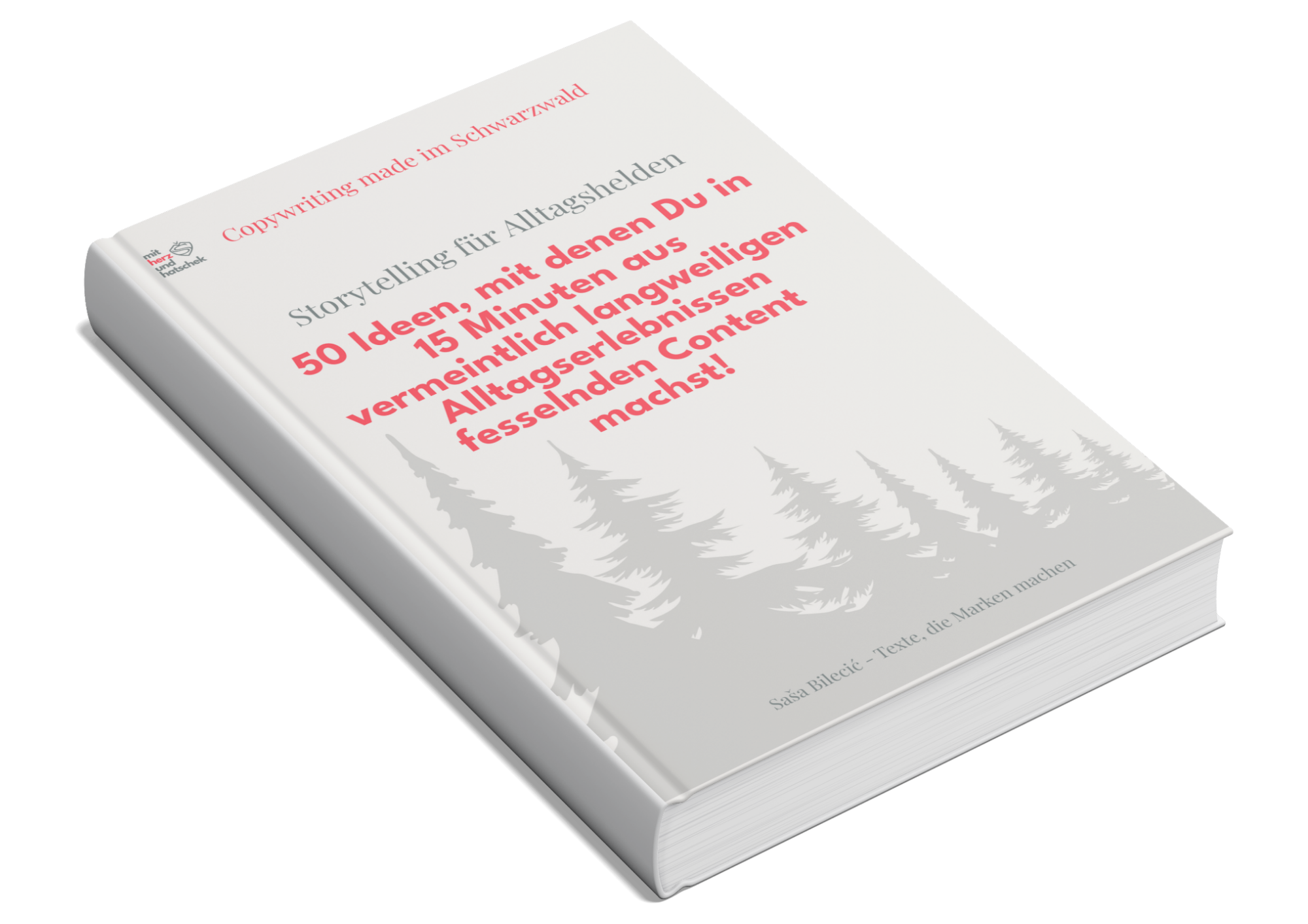 Mock-Up Buch Alltagshelden